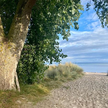 Feriendorf Suedstrand Haus 01 ペルツァーハケン エクステリア 写真