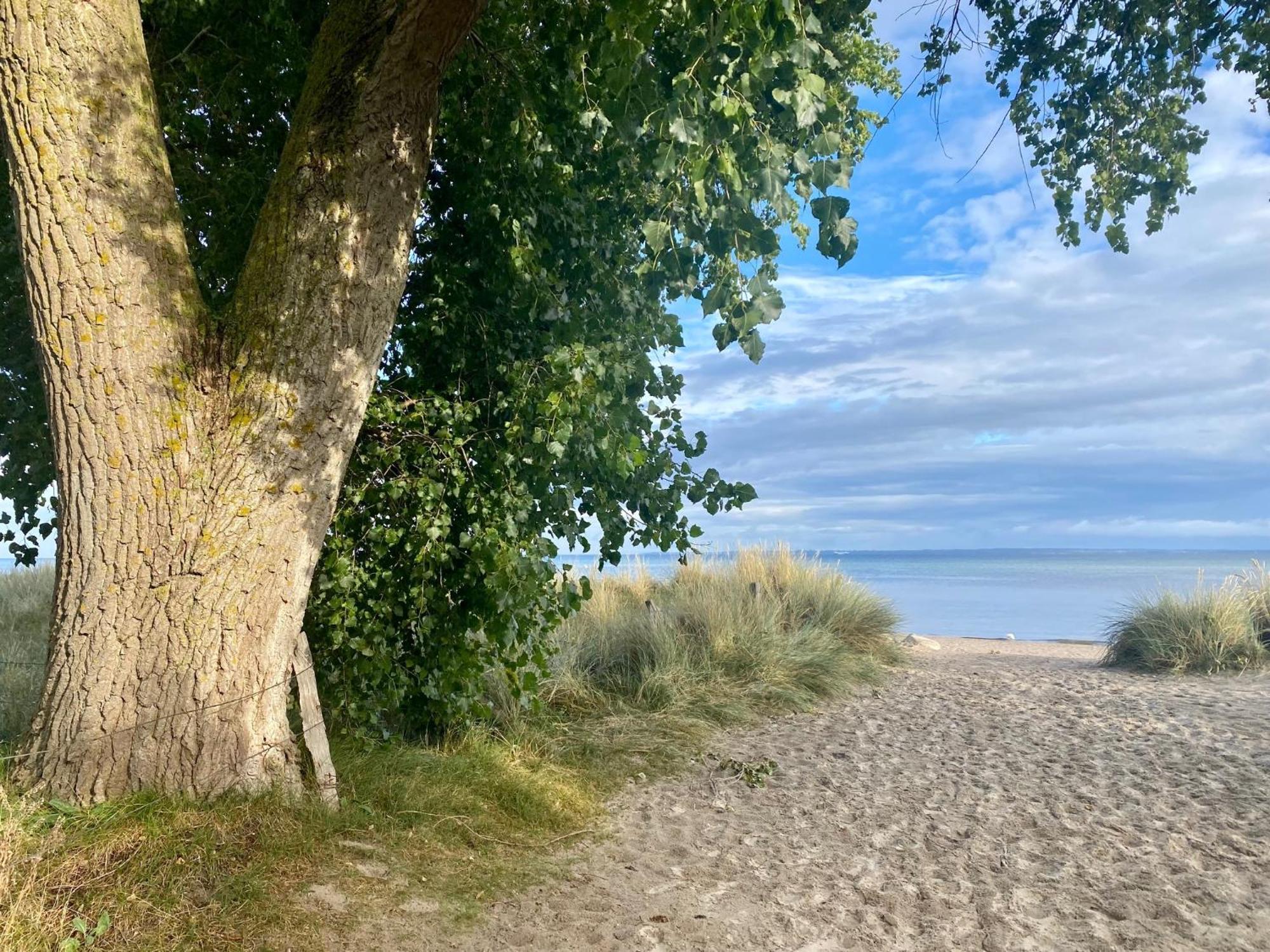 Feriendorf Suedstrand Haus 01 ペルツァーハケン エクステリア 写真